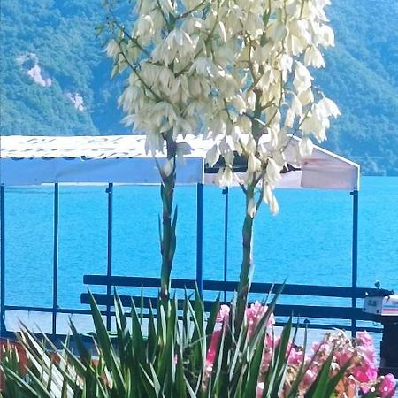 Dina Apartman Jablanicko Jezero Коніц Екстер'єр фото