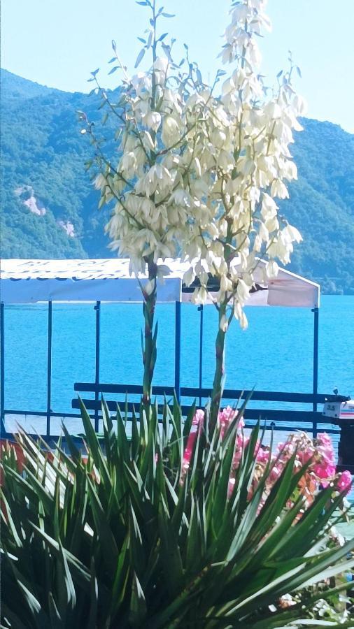 Dina Apartman Jablanicko Jezero Коніц Екстер'єр фото