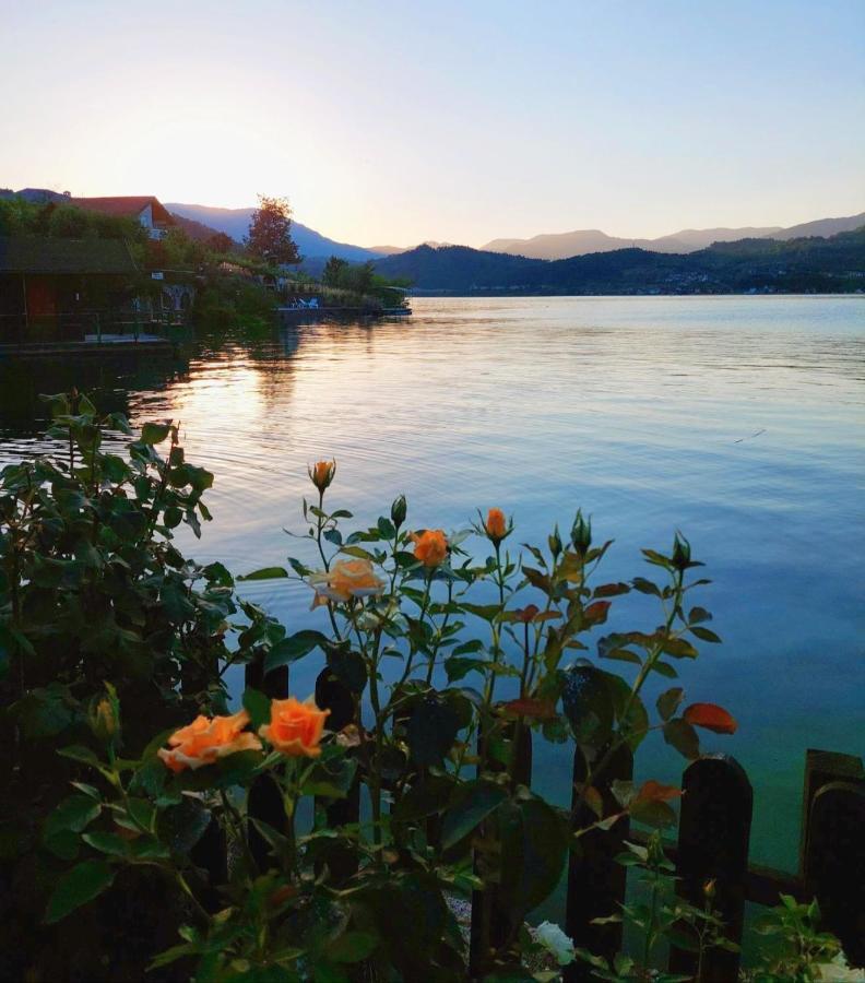 Dina Apartman Jablanicko Jezero Коніц Екстер'єр фото