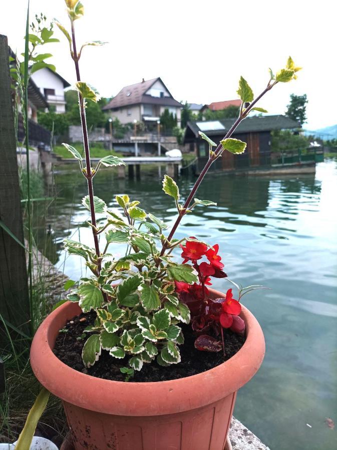 Dina Apartman Jablanicko Jezero Коніц Екстер'єр фото