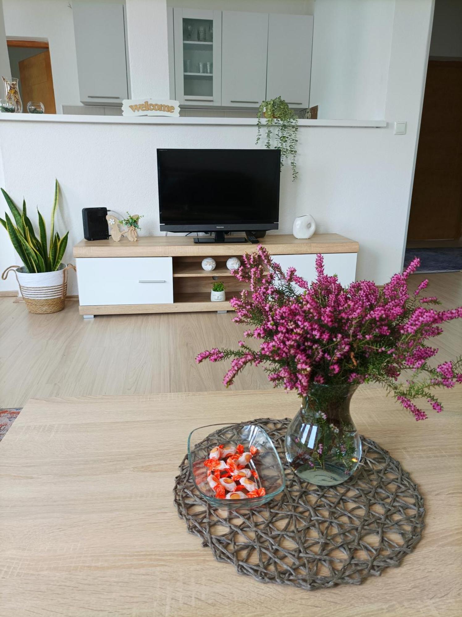 Dina Apartman Jablanicko Jezero Коніц Екстер'єр фото